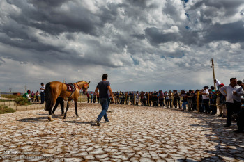 تصاویر کورس اسب دوانی آذربایجان شرقی