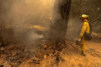 آتش سوزی کالیفرنیا 6 کشته و 7 مفقود برجا گذاشت