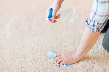 نحوه رفع بوی بد شیر ریخته شده بر روی فرش