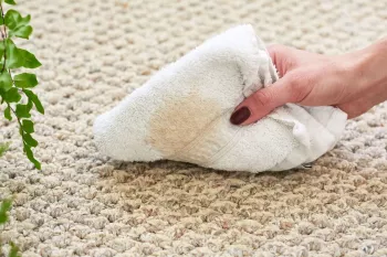 ترفندهای خانگی جهت رفع بوی سرکه از فرش