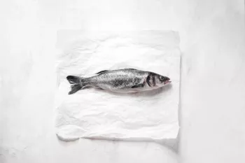 حکم خوردن ماهی فلس‌دار | آیا خوردن ماهی فلس دار حلال است؟