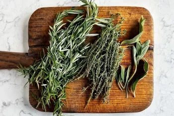 چگونه اسطوخودوس را از رزماری تشخیص دهیم ؟