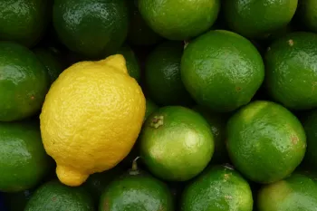 همه چیز درباره تفاوت های لیمو سنگی با لیمو ترش !
