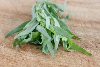 4 خاصیت شگفت انگیز سبزی ترخون برای کودکان