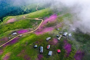 ییلاق سلانسر کجاست ؟ راهنمای کامل سفر + عکس و مسیر دسترسی