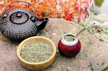 فواید چای یربا ماته؛ آشنایی با چای سبز رنگ معجزه‌ گر!