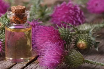 خواص دارویی و درمانی روغن خار مریم
