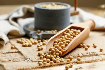 مصرف پروتئین سویا به چه کسانی توصیه می شود ؟