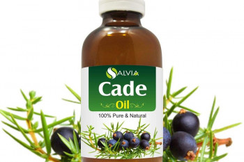 خواص و فواید بی نظیر روغن کاد