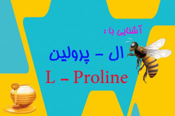 آشنایی با اسید آمینه ال پرولین عسل