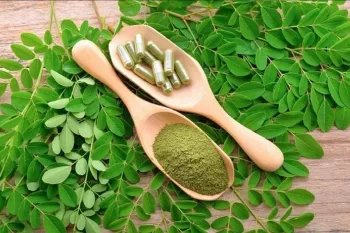 نحوه مصرف مورینگا برای استفاده از نهایت خواص این گیاه !
