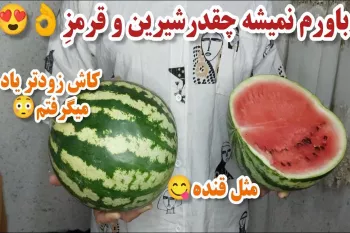 ۵ روش ساده ی تشخیص هندوانه شیرین و قرمز / دیگه هندوانه بیرنگ و بیمزه نخر