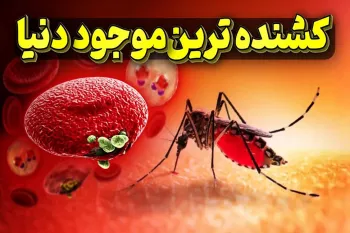 کشنده ترین پشه دنیا که سالی ۱۰۰ هزار نفر میکشد !