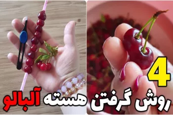 آموزش ۴ روش هسته گرفتن آلبالو و گیلاس بدون دستگاه