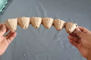 ایده دکوراسیون شیک خانه و اتاق خواب با شونه تخم مرغ