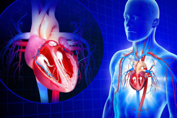 راههای جلوگیری از نارسایی قلبی در اثر حمله قلبی