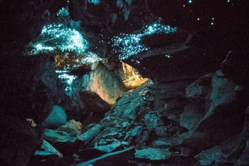 خیره کننده ترین غار جهان، غار کرم های شب تاب وایتومو