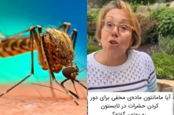 ساده ترین و ارزانترین راه دفع حشرات از منزل (+ویدئو)