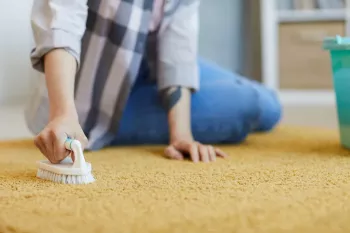 4 روش حرفه ای جهت شستشو لکه آبغوره از فرش
