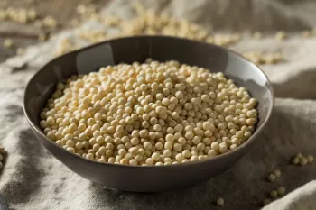گندم دوروم چیست و چه کاربرد هایی دارد؟
