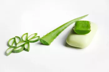 چگونه صابون آلوئه ورا درست کنیم؟ روشی جدید و ساده