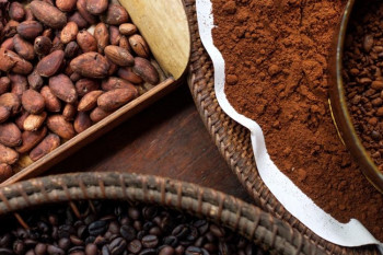 شکل انواع دانه‌های قهوه 