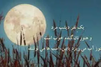 گندم در شعر سهراب سپهری | شعر پشت کاجستان برف سهراب سپهری