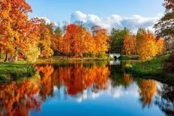 گزیده برترین و احساسی ترین اشعار نو در وصف پاییز