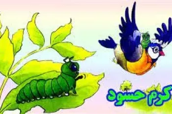 داستان کوتاه کودکانه کرم حسود + دانلود قصه صوتی