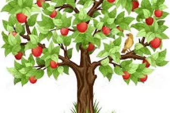 داستان کوتاه کودکانه آلبالوی عجول + نتیجه گیری قصه