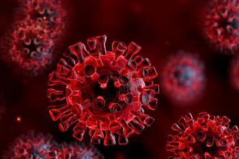 انشا درباره ویروس کرونا | برگزیده چند انشا بی نظیر با موضوع کرونا