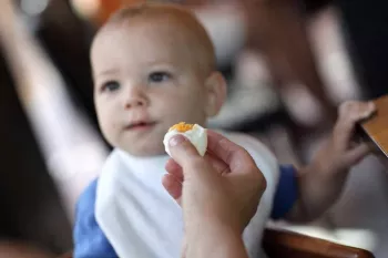 دادن تخم مرغ به نوزاد : از چند ماهگی به نوزاد تخم مرغ بدهیم ؟