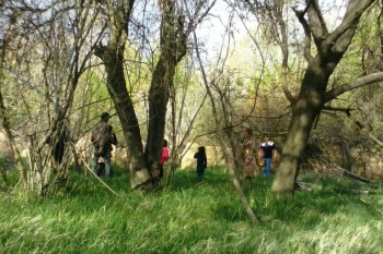 معرفی ۱۰ مکان طبیعی برای سیزده بدر در کرمان