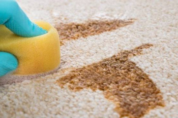 روش های جادویی برای تمیز کردن لکه چای از روی فرش