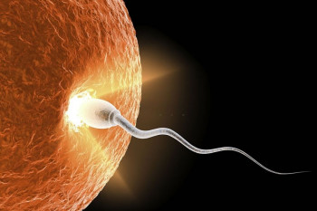 راههای تقویت اسپرم ضعیف و افزایش پتانسیل باروری مردان