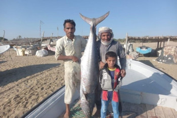 عکس/ شکار ماهی 4 میلیون تومانی توسط صیاد ایرانی!