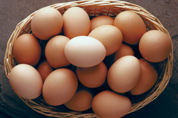 داستان تبانی در قیمت تخم مرغ چه بود؟