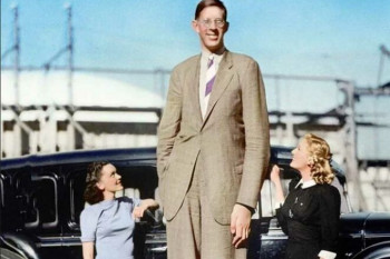 رابرت وادلو بلند قدترین فرد تاریخ و رکورددار گینس را بیشتر بشناسید!