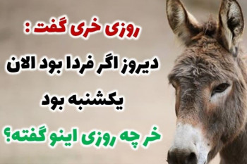 تست هوش روزی خری گفت… / تست هوش