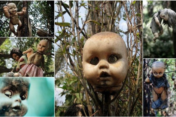 جزیره عجیب و وحشتناک عروسک ها در مکزیک
