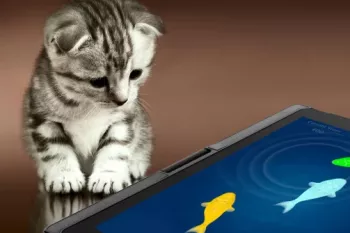 گربه خود را با برنامه رایگان Peppy Cat سرگرم کنید!