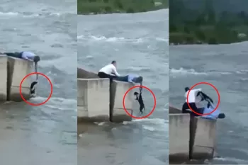 دو مرد در مراسم عروسی سگی را از کنار رودخانه نجات دادند!