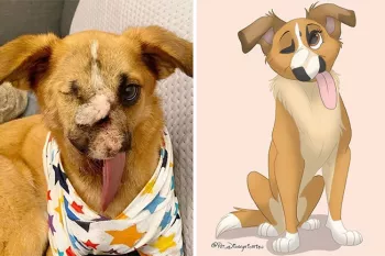 هنرمندی که تصاویر حیوانات خانگی معلول را به سبک دیزنی طراحی می کند!