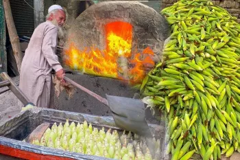 پیرمرد ۷۰ ساله پاکستانی که ذرت را در شن میپزد!