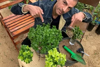 بعد از دیدن این مطلب دیگر هرگز نعنا را نخواهید خرید!