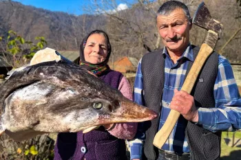 سوپ برای کل خانواده از یک سر ماهی بزرگ!
