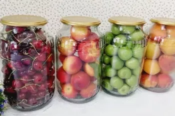 راز تازه نگه داشتن میوه ها به مدت ۱۲ ماه بدون یخچال!