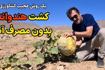 یک روش عجیب کشاورزی بدون آبیاری! / کاشت هندوانه بدون مصرف آب !
