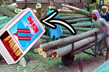 فرآیند شگفت انگیز ساخت چوب کبریت به سبک پاکستانی !