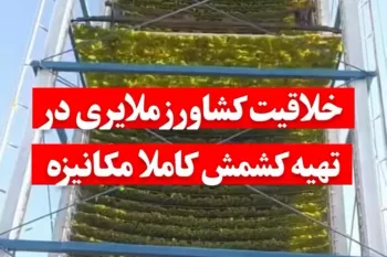 خلاقیت کشاورز ملایری در تهیه کشمش کاملا مکانیزه!